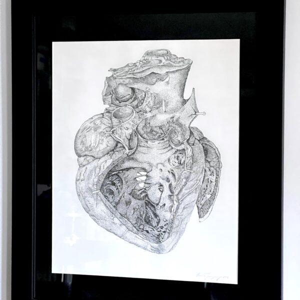 Anatomical Vintage Heart Illustration
